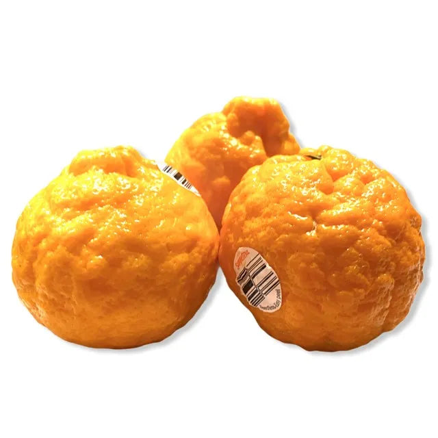 SUMMERINE MANDARINS KG