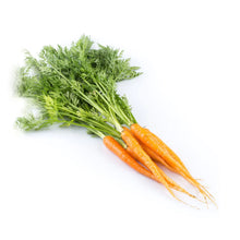 CARROTS DUTCH BUNCH