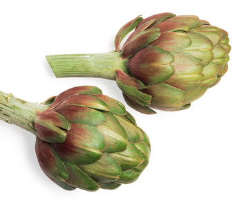 ARTICHOKE EA