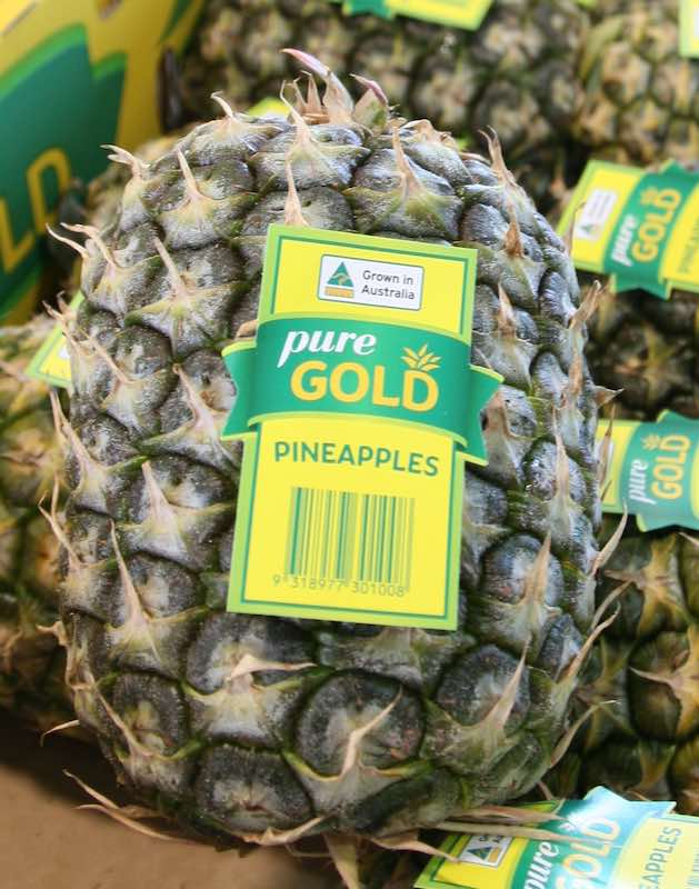 PURE GOLD PINEAPPLE EACH