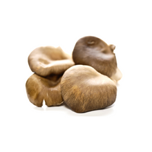 MUSHROOMS OYSTERS 100G PKT