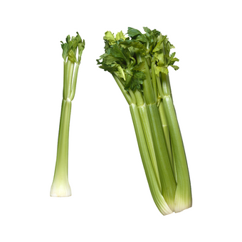 CELERY HALF