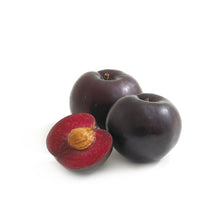 BLACK PLUMS