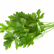 CONTINENTAL PARSLEY BUNCH