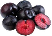 QUEEN GARNET PLUMS