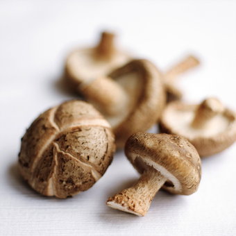 MUSHROOMS SHITAKE 100G PKT