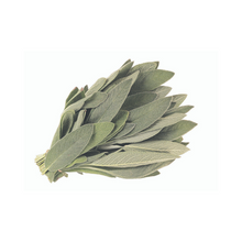SAGE BUNCH
