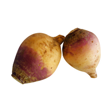 SWEDE KG