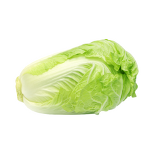 CABBAGE CHINESE WHOLE