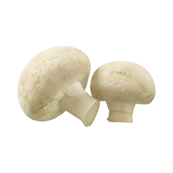 MUSHROOMS BUTTON 500G