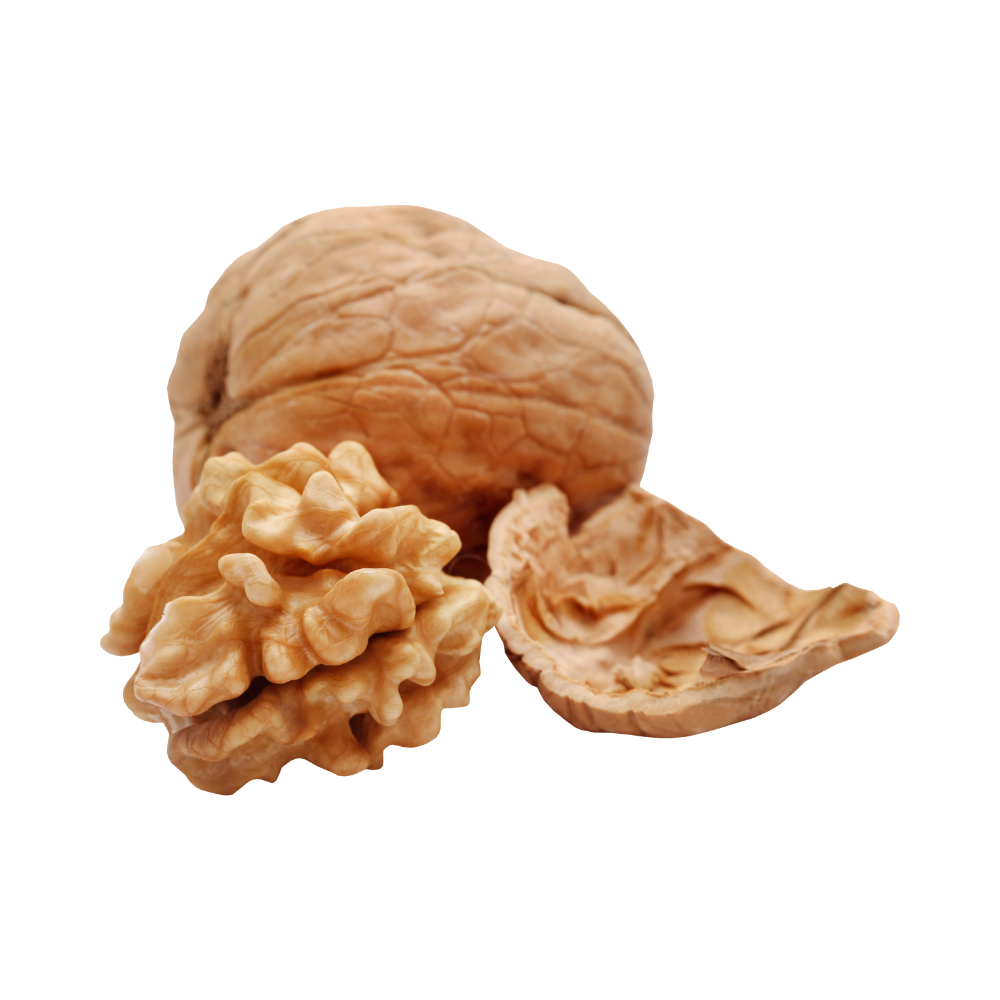 WALNUTS BAG