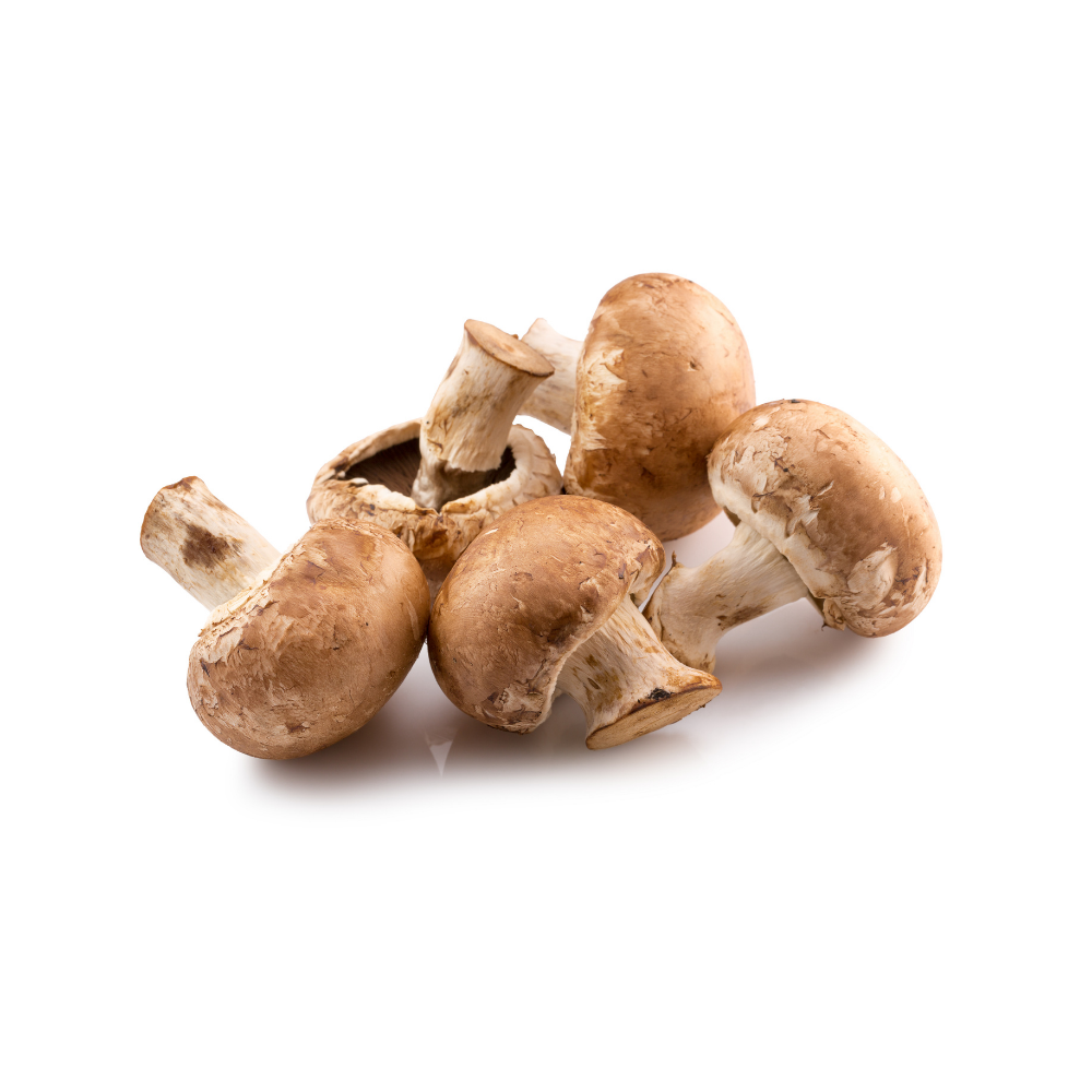 MUSHROOMS BROWN PKT