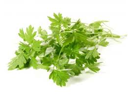 CHERVIL 20G PKT