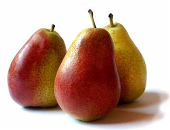 CORELLA PEARS KG