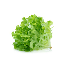 LETTUCE GREEN OAK EACH