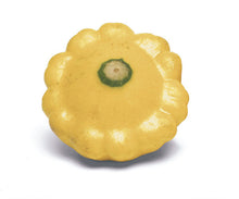GOLD SQUASH 250G PK